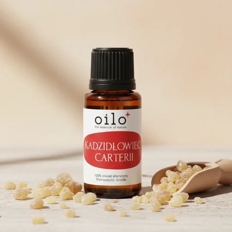 Olejek-eteryczny-kadzidlowiec-Boswellia-carterii-Oilo-Bio-5-ml.webp